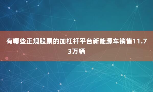 有哪些正规股票的加杠杆平台新能源车销售11.73万辆